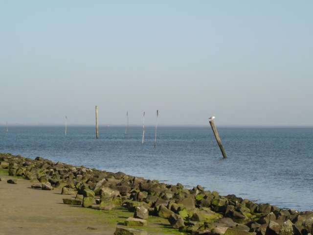 Meer